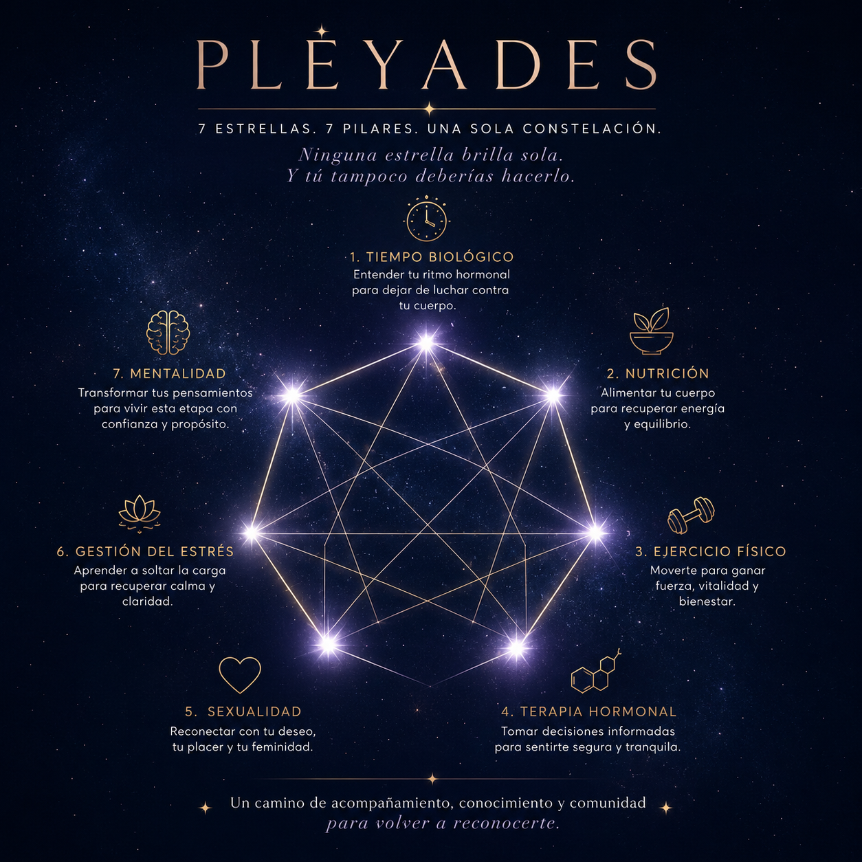 Pléyades – 7 estrellas, 7 pilares, una sola constelación